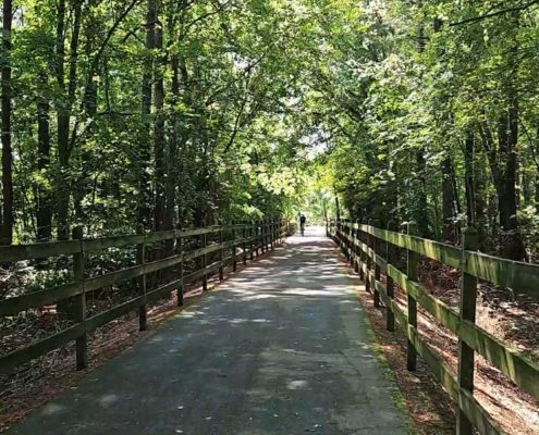 Raleigh Guided Group Tour