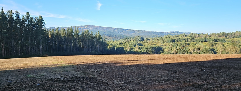 Walking the Camino