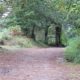 Exploring the Camino de Santiago A conversation with a Future Pilgrim